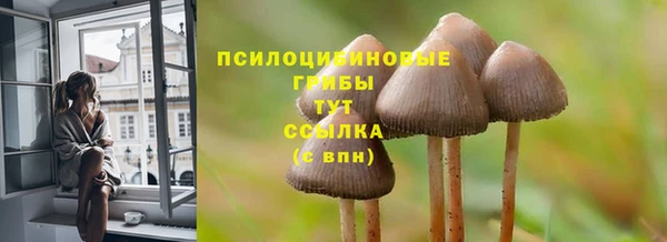 твердый Наволоки