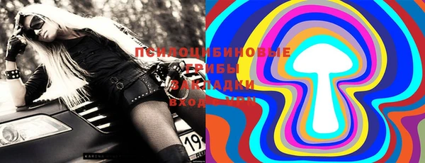 дживик Дегтярск