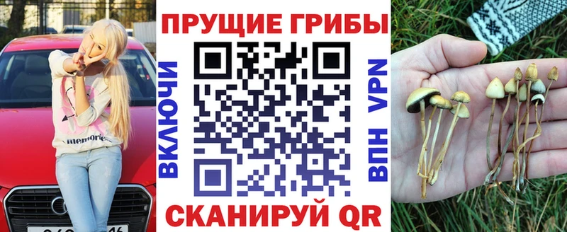 купить закладку  Ялуторовск  Псилоцибиновые грибы Psilocybe 