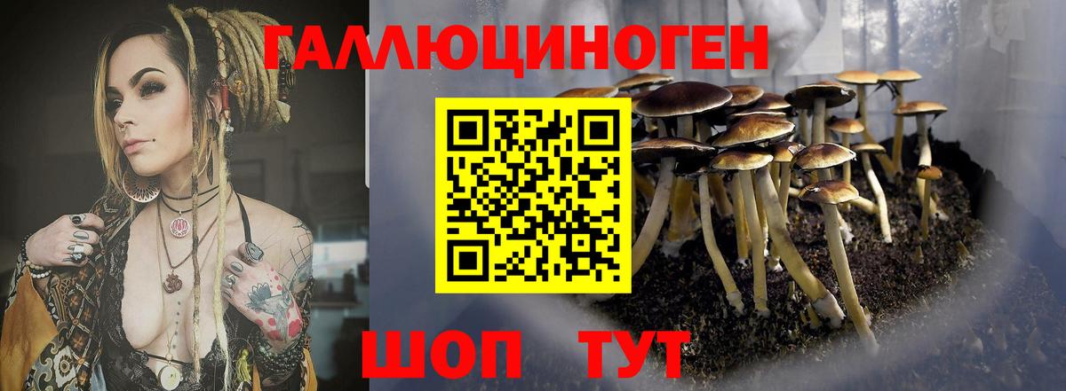 закладка  Вход с VPN  Ялуторовск  Псилоцибиновые грибы мухоморы 